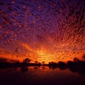 Twilight Twirl - A flock of starlings forming mesmerizing patterns at dusk