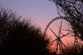 The twilight under the ferris wheel Royalty Free Stock Photo