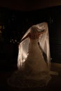 Twilight Veil: A Bride's Quiet Moment