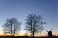 Twilight view with trees and a windmill