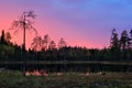 Twilight in the wild nature. Evening in taiga. Lake with forest and blue twilight sky. Landscape from north of Europe - Finland Royalty Free Stock Photo