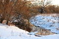 Twilight winter sunset on rural river