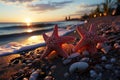 Twilights charm, pair of starfish rest upon beach, silhouette against setting sun