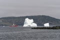 A tour boat passes an iceberg on a foggy day