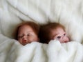 Twin Babies Sleeping
