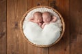Twin Baby Boys Sleeping in a Basket