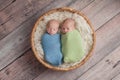 Twin Baby Boys Telling Secrets Royalty Free Stock Photo