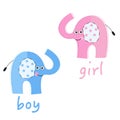 Twin baby girl and boy greeting card. Baby elephants baby shower vector background