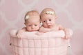 Twin Baby Girls Sitting in a Wire Basket