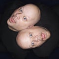 Twin bald men. Royalty Free Stock Photo