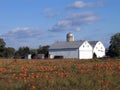 Twin Barns Royalty Free Stock Photo