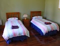 Twin beds in a quirky rental property in Masterton in New Zealand