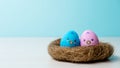 twin birth conceptual banner two egg chicken nest Royalty Free Stock Photo