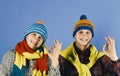 Twin brothers wearing warm hats and scarves show ok signs Royalty Free Stock Photo