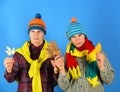 Twin brothers wearing warm hats and scarves Royalty Free Stock Photo