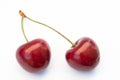 Twin Cherries