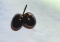 Twin cherries in daylight. Royalty Free Stock Photo