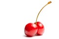 Twin cherries with space for text Royalty Free Stock Photo