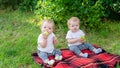 Twin children eat apples in the fresh air sitting on a blanket