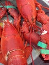 Twin cooked red lobsters