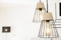 Twin decorative pendant ceiling lamps with black wires and large incandescent bulbs Royalty Free Stock Photo