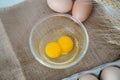 Twin eggs. Raw eggs. Royalty Free Stock Photo