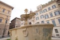 Twin Fountains with icycle in piazza Farnese, rome. Royalty Free Stock Photo