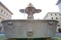 Twin Fountains with icycle in piazza Farnese, rome. Royalty Free Stock Photo