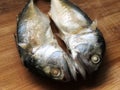 Twin fresh mackerel fish on wooden Chopping board before cooking