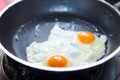 Twin fried eggs on the pan Royalty Free Stock Photo