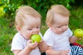 Twin girls eat apples in nature in fresh