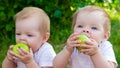 Twin girls eat apples in nature in the fresh air