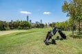 Twin Golf Bags on a Vibrant Green Fairway with Urban Skyline