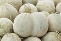 Twin Japanese rock melon Royalty Free Stock Photo