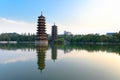 Twin pagodas in banyan lake Royalty Free Stock Photo