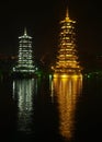 Twin pagodas with reflection in China