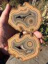 Twin pieces brown agate