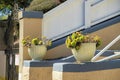 Twin potted plants with yellow flowers on the side hand rails of a set of stairs on a front porch or patio in the