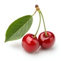 Twin red cherries with a green leaf isolated on white background Royalty Free Stock Photo