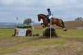 Twin Rivers Ranch Cross Country Eventing Jumping Horse Royalty Free Stock Photo