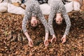 Twin sister on swing in autumn forest Royalty Free Stock Photo