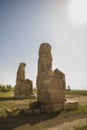 Twin statues of Colossi of Memnon, Luxor, Egypt Royalty Free Stock Photo