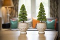 twin tabletop topiaries in matching ceramic pots