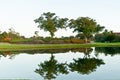 Twin trees and reflection, guarding a golf green at a tropical golf course in early morning light