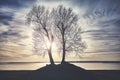 Twin trees silhouettes on a river bank at sunset. Royalty Free Stock Photo