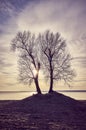 Twin trees silhouettes on a river bank at sunset. Royalty Free Stock Photo