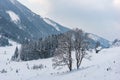 Twin trees and winter mountain landscape in the Alps. The hills, trees and mountains covered with snow Royalty Free Stock Photo