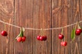 Twine with hanging ripe cherries on wooden background