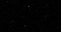 Twinkling star particles on starry black night background