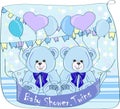 Twins baby shower,